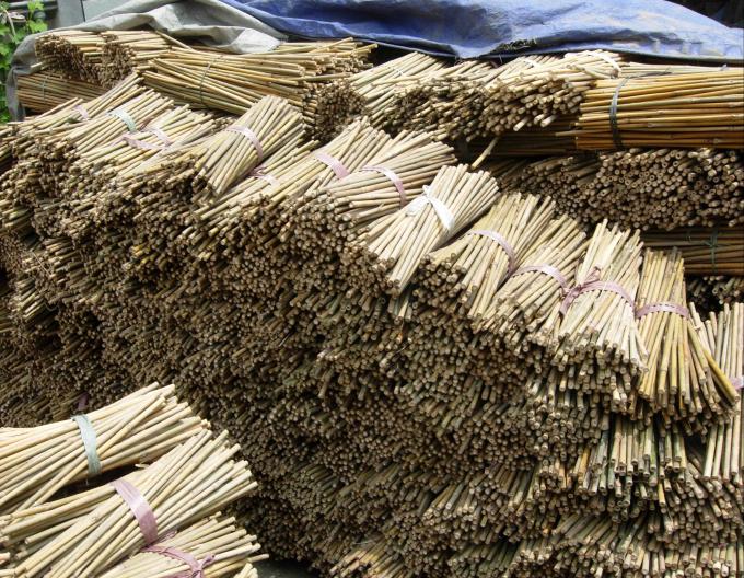 環境に優しい竹の棒 トムツ豆 室内外植物用の盆栽植物 3