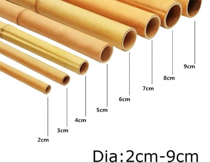 丈夫な竹竿 – DIY、支柱、装飾に最適 1