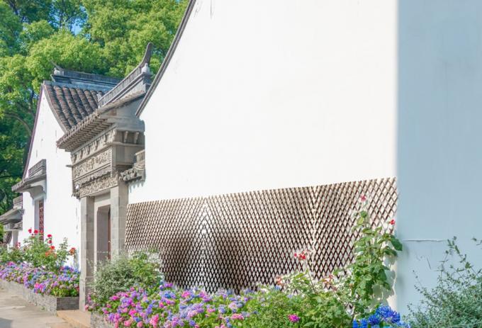 自然 の 柳 の 枝 が 完璧な 背景 と プライバシー の 解決策 3