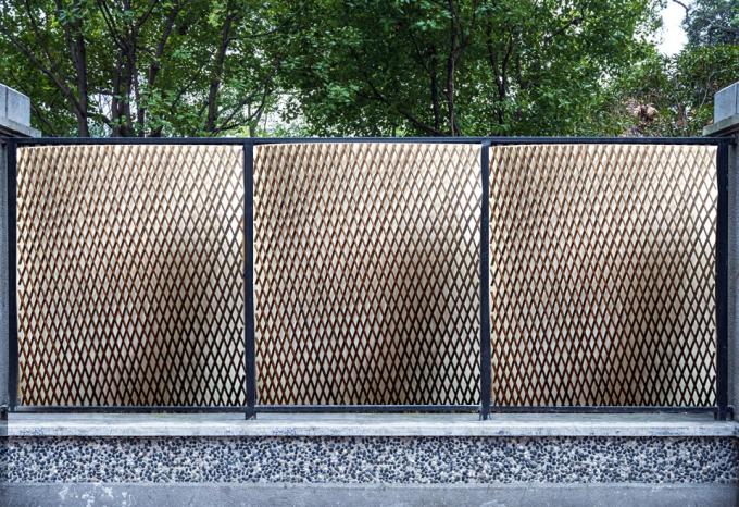 自然 の 柳 の 枝 が 完璧な 背景 と プライバシー の 解決策 2