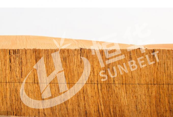 環境 に 配慮 し て プライバシー と 影 を 与える 環境 に 優しい 多用 的 な 方法 4