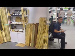 キャントンフェアに出展した?