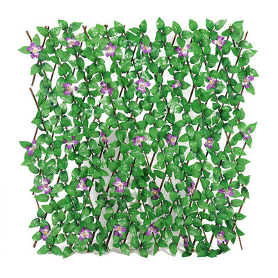 屋外 の プライバシー を 向上 さ せる