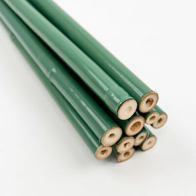 Green/Black Plastic Coated Bamboo Poles - Custom Sizes for Gardening and Decoration