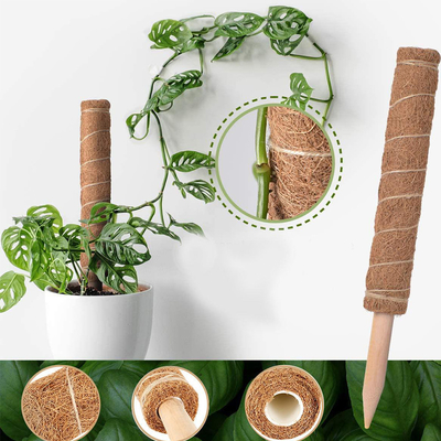 植物のココナッツ ポーランド人に上り、支える植物のための44cmのシュロのコケのトーテム ポールのキット