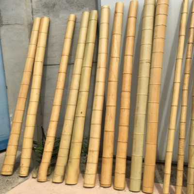 庭の家具の園芸植物の長さ16cmのためのまっすぐの自然なタケ ポーランド人の棒