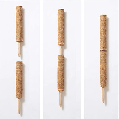 クライミング植物用モス ポール 30cm 40cm 60cm 90cm 天然ココナッツコイア トーテムサポートステーク
