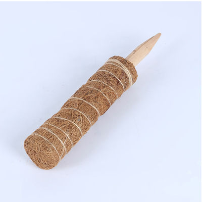 クライミング植物用モス ポール 30cm 40cm 60cm 90cm 天然ココナッツコイア トーテムサポートステーク