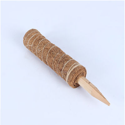 クライミング植物用モス ポール 30cm 40cm 60cm 90cm 天然ココナッツコイア トーテムサポートステーク