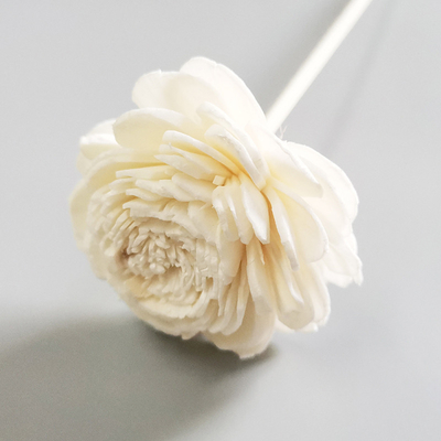 家の芳香は綿の灯心が付いているSolaの花のReedの乾燥された拡散器を拡散させるためにReedを維持した