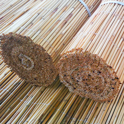 ヤードのための軽量の装飾的な転がされた葦の塀の Eco の友好的で自然なパネルのローラー
