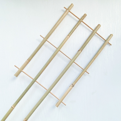 100%の原料のタケは6mを杭で囲うUの形のたがが格子垣サポート花を手作りした