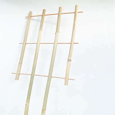 100%の原料のタケは6mを杭で囲うUの形のたがが格子垣サポート花を手作りした