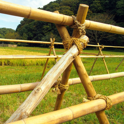 乾燥された扱われた園芸タケ棒ポーランド人は16cm棒を構造のための罰として鞭でたた