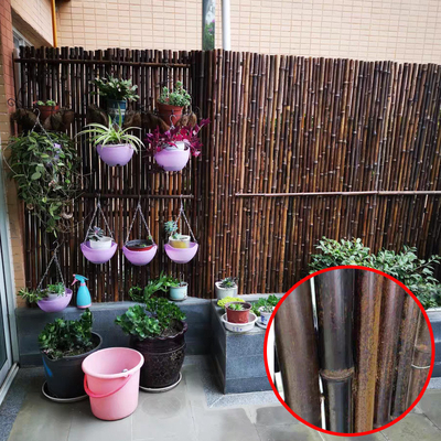 自然なタケ材料はタケ塀のパネルを転がしたタケ塀のプライバシーの庭のボーダーを塗った