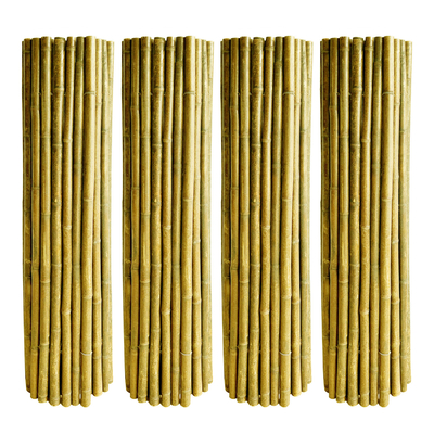 180cm 240cmの長さのパネルを囲う自然な原料の庭
