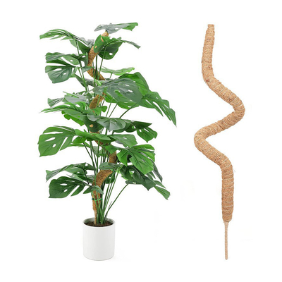 モス・ポール 植物の支え 登り ココナッツ・ポール パーム・スティック 色のついた植物