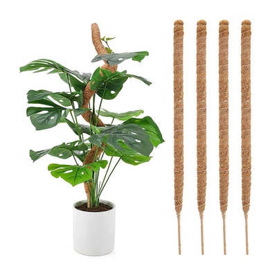 植物のココナッツ ポーランド人に上り、支える植物のための44cmのシュロのコケのトーテム ポールのキット