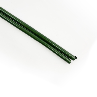 緑を塗っている40cm 60cm 90cm 120cmの長さの緑タケ ポーランド人