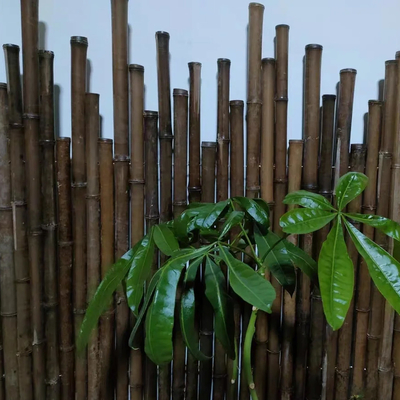 反型は多彩な植物Tonkinが250cmを炭化したタケ棒を塗った