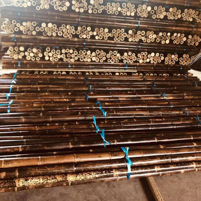 120cm未加工タケ ポーランド人