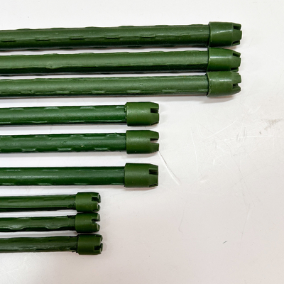 登り植物,ポット植物,トマト,木々を栽培するための庭植物のストック