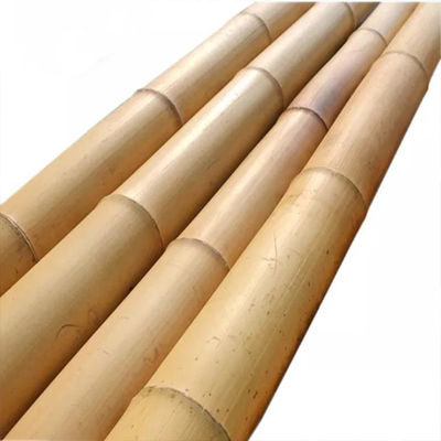 Natural Treated Moso Bamboo Pole - 3 Meters Long, 6-8cm Diameter, for DIY Construction, Fencing, Gardening and Decorative Projects