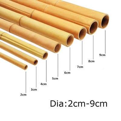 595cm Long Moso Bamboo Pole - Eco-friendly Straight and Sturdy Bamboo Raw Material for Garden Construction