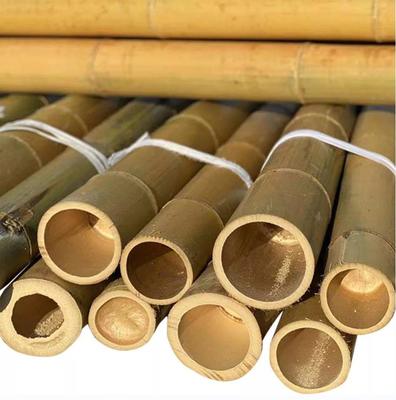 Natural Bamboo Poles 40mm-140mm Diameter for Construction and Decoration